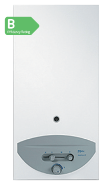 Main Balanced Flue Water Heater
